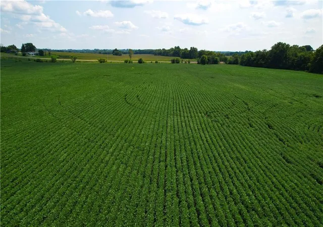 Photo 2 of Sale Pending at Ne State Route 6, Easton, MO 64443 | MLS# 2635134 | Listing updated on 2026-08-14