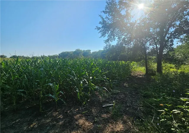 Photo 5 of Land for sale at SE Adams Rd, Maysville, MO 64469 | MLS# 2635164 | Listing updated on 2026-08-11