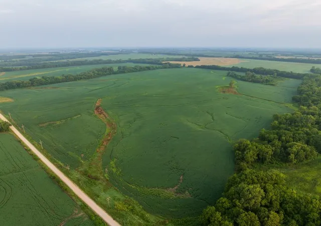 1st image of Tbd Sw 1300Th Rd, Chilhowee, MO 64733 | MLS# 2635632