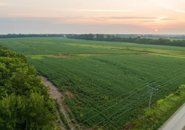 2nd image of Tbd Sw 1300Th Rd, Chilhowee, MO 64733 | MLS# 2635632