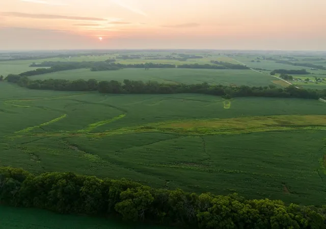 4th image of Tbd Sw 1300Th Rd, Chilhowee, MO 64733 | MLS# 2635632