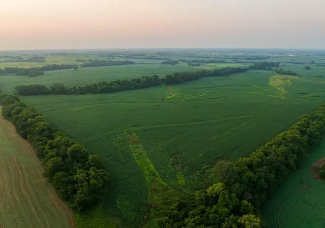 5th image of Tbd Sw 1300Th Rd, Chilhowee, MO 64733 | MLS# 2635632