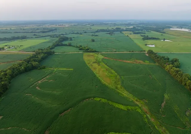 Photo 1 of Land for sale at Tbd Sw Tract 1 1300th Rd, Chilhowee, MO 64733 | MLS# 2635635 | Listing updated on 2026-08-06