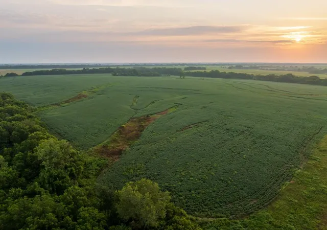 2nd image of Tbd Tract 2 Sw 1300th Rd, Chilhowee, MO 64733 | MLS# 2635638