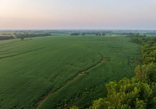 Photo 3 of Land for sale at Tbd SW Tract 2 1300th Rd, Chilhowee, MO 64733 | MLS# 2635638 | Listing updated on 2026-08-06