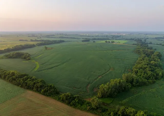 Photo 4 of Land for sale at Tbd SW Tract 2 1300th Rd, Chilhowee, MO 64733 | MLS# 2635638 | Listing updated on 2026-08-06