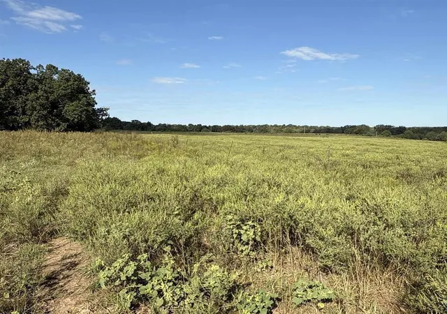 3rd image of S 725 Rd, Stockton, MO 65785 | MLS# 2635718