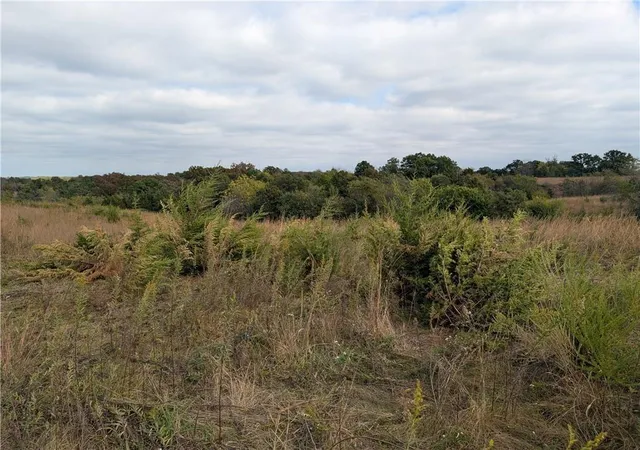 Photo 3 of Land for sale at East 280th St, Ridgeway, MO 64481 | MLS# 2635785 | Listing updated on 2026-08-13