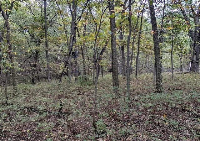 Photo 3 of Land for sale at E 270th Avenue, Ridgeway, MO 64481 | MLS# 2635786 | Listing updated on 2026-08-11