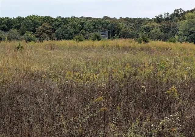 Photo 4 of Land for sale at E 270th Avenue, Ridgeway, MO 64481 | MLS# 2635786 | Listing updated on 2026-08-11