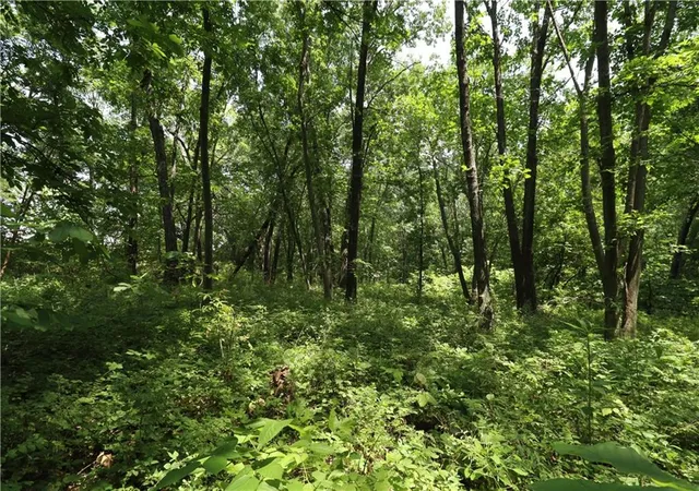 1st image of 36 E 1200th Rd, Baldwin City, KS 66006 | MLS# 2635861
