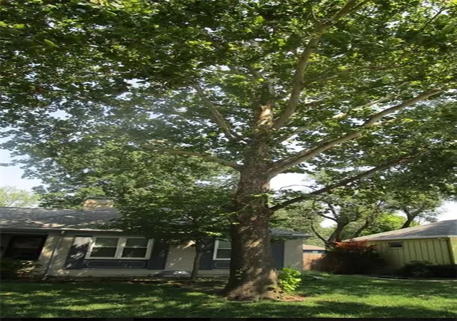 17th image of 600 S Edgemere Dr, Olathe, KS 66061 | MLS# 2635975