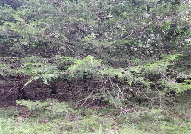 1st image of 5 Silver Ln, Linn Valley, KS 66040 | MLS# 2636024
