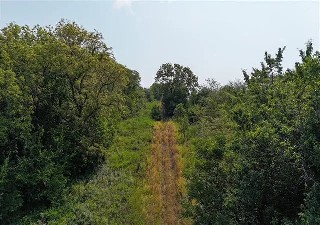 Photo 1 of Land for sale at Se Black Oak Rd, Braymer, MO 64624 | MLS# 2636087 | Listing updated on 2026-08-10
