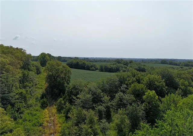 Photo 2 of Land for sale at Se Black Oak Rd, Braymer, MO 64624 | MLS# 2636087 | Listing updated on 2026-08-10