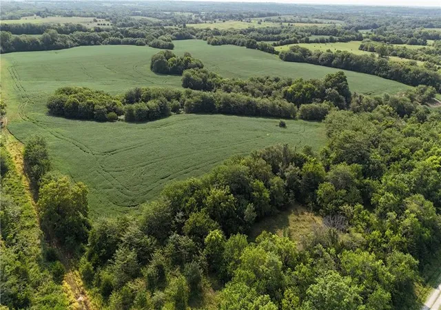 Photo 3 of Land for sale at SE Black Oak Rd, Braymer, MO 64624 | MLS# 2636087 | Listing updated on 2026-08-10