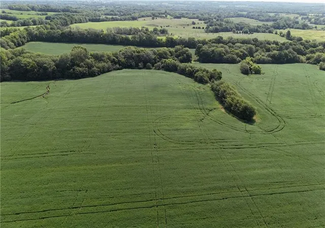 Photo 4 of Land for sale at SE Black Oak Rd, Braymer, MO 64624 | MLS# 2636087 | Listing updated on 2026-08-10