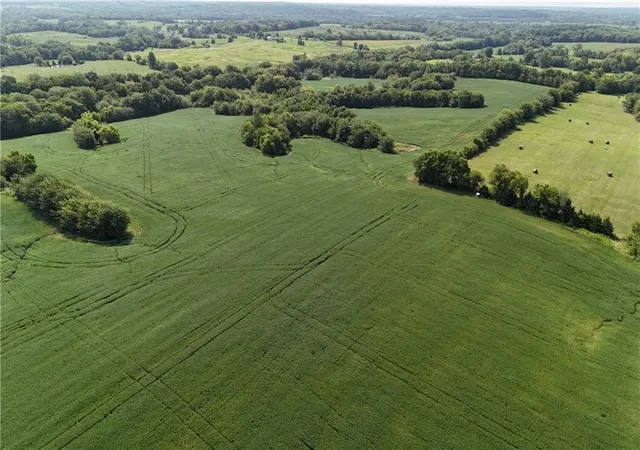 Photo 5 of Land for sale at SE Black Oak Rd, Braymer, MO 64624 | MLS# 2636087 | Listing updated on 2026-08-10