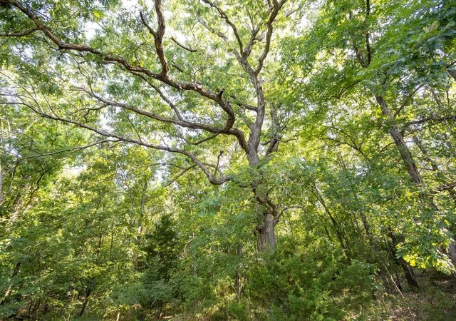 Photo 3 of Sale Pending at 0000 Sw 900 Road, El Dorado Springs, MO 64776 | MLS# 2636198 | Listing updated on 2026-08-13