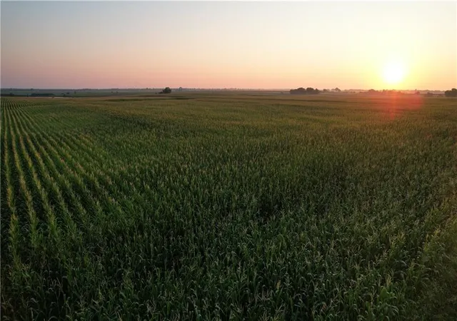 Photo 3 of Land for sale at Sw 90th Ln & Hwy 160, Liberal, MO 64762 | MLS# 2636241 | Listing updated on 2026-08-12