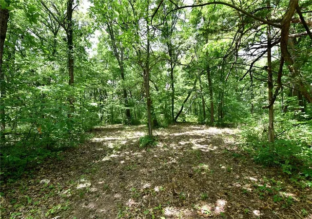 2nd image of Tract2 150 St, Lone Jack, MO 64070 | MLS# 2636309