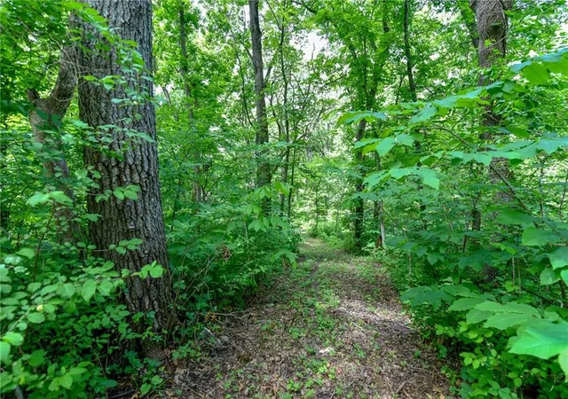 3rd image of Tract2 150 St, Lone Jack, MO 64070 | MLS# 2636309