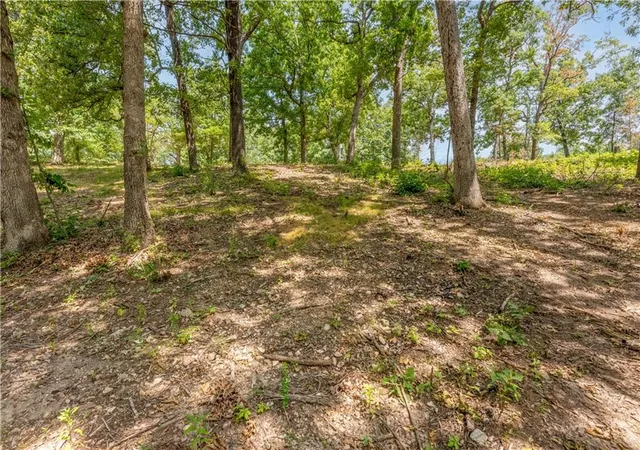 82nd image of 28186 Brushy Chapel Ave, Lincoln, MO 65338 | MLS# 2636339