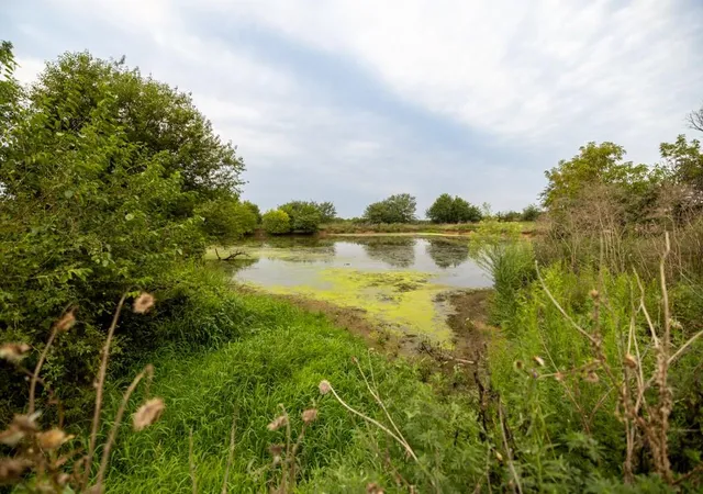 Photo 57 of Land for sale at 000 Se Mcbee Chapel Rd, Braymer, MO 64624 | MLS# 2636623 | Listing updated on 2026-08-13