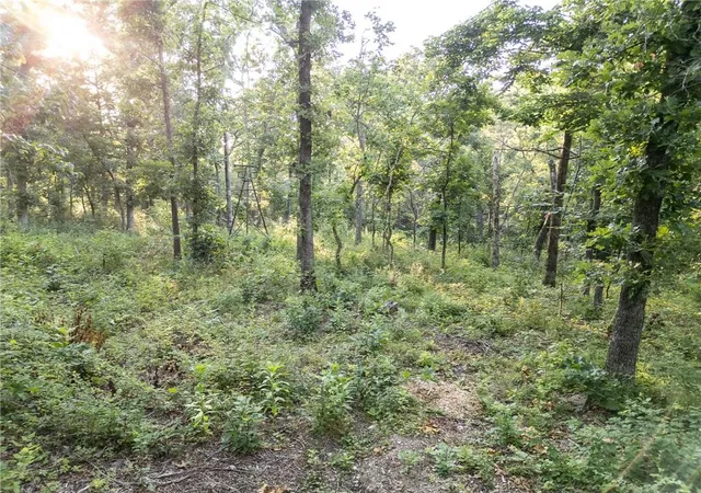 3rd image of Tbd Canfield Ln, Warsaw, MO 65355 | MLS# 2636658