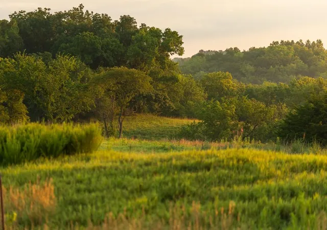 Photo 55 of Land for sale at 000 116 Highway, Braymer, MO 64637 | MLS# 2636687 | Listing updated on 2026-08-14