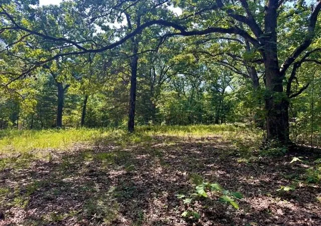 1st image of 33001 Panther Wy, Cole Camp, MO 65325 | MLS# 2636700