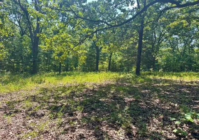 4th image of 33001 Panther Wy, Cole Camp, MO 65325 | MLS# 2636700