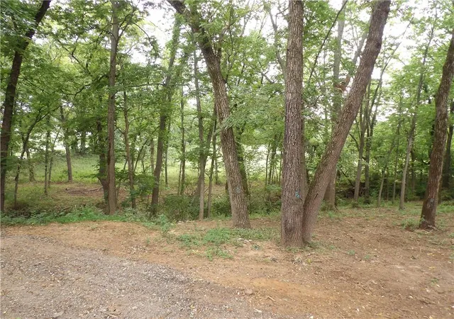 14th image of 2594 Georgia Rd, Ottawa, KS 66067 | MLS# 2636819