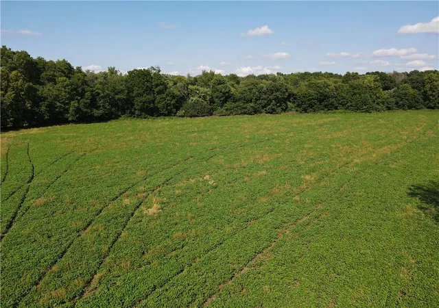 Photo 3 of Land for sale at S Boardman Rd, Pleasant Hill, MO 64080 | MLS# 2636836 | Listing updated on 2026-08-24