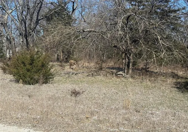 3rd image of 37 Poplar Ln, Linn Valley, KS 66040 | MLS# 2636871