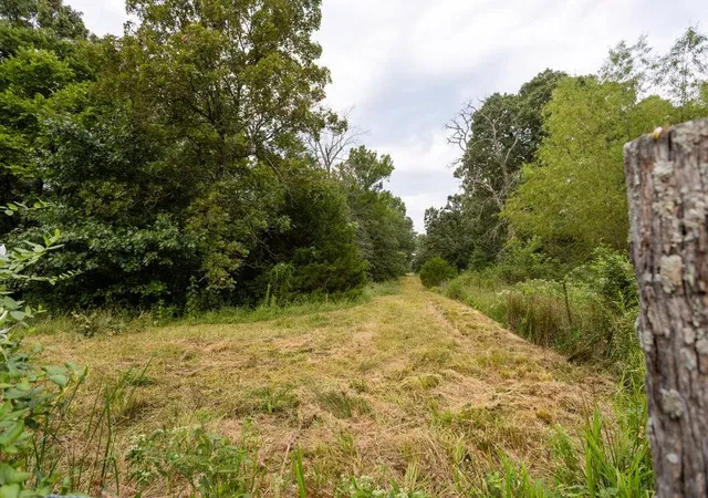 2nd image of 0000 Tract 1 97 Hwy, Jerico Springs, MO 64756 | MLS# 2637003