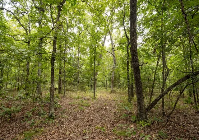 4th image of 0000 Tract 1 97 Hwy, Jerico Springs, MO 64756 | MLS# 2637003