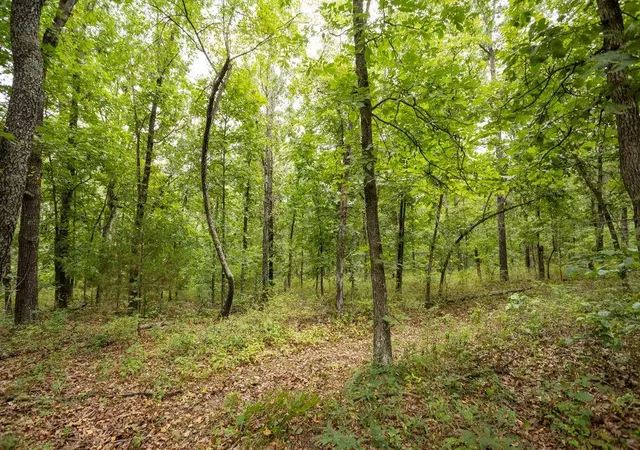 5th image of 0000 Tract 1 97 Hwy, Jerico Springs, MO 64756 | MLS# 2637003