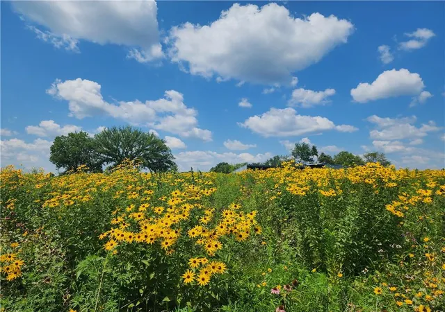 1st image of 28200 S Grand River Rd, Freeman, MO 64746 | MLS# 2637332