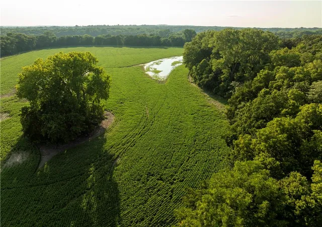 Photo 3 of Sale Pending at 0000 Hatchell Rd, Tonganoxie, KS 66086 | MLS# 2637392 | Listing updated on 2026-08-28