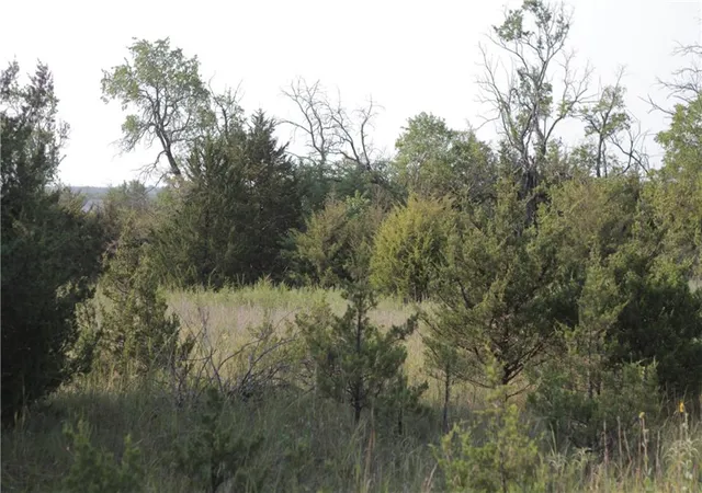 50th image of 000 Texas Rd, Moran, KS 66755 | MLS# 2637606