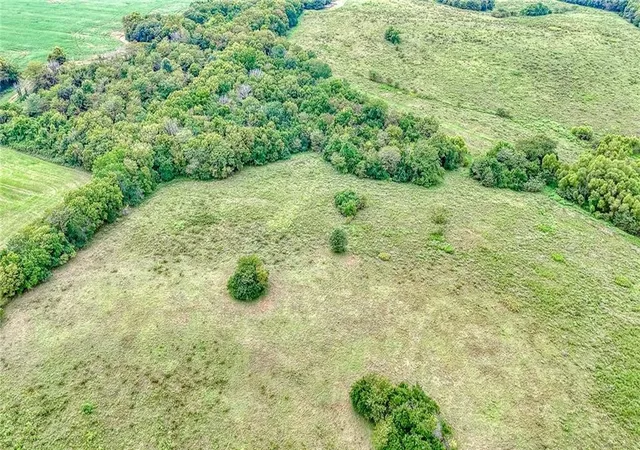 Photo 3 of Land for sale at 1143 Sw 1801st Road, Garden City, MO 64747 | MLS# 2637824 | Listing updated on 2026-09-01