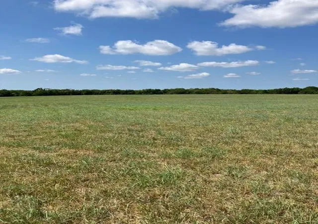 3rd image of 00000 Mills Rd, Lacygne, KS 66040 | MLS# 2638039