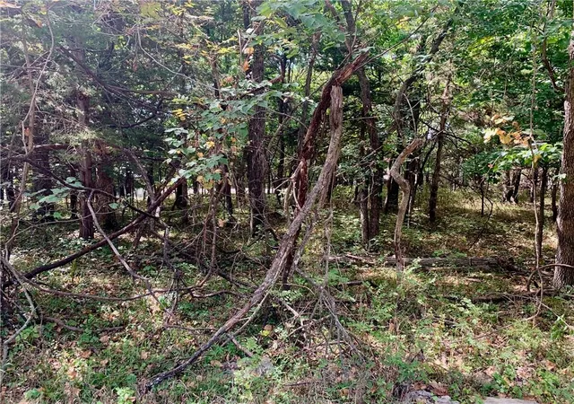 2nd image of 9 Enchanted Ln, Linn Valley, KS 66040 | MLS# 2638162