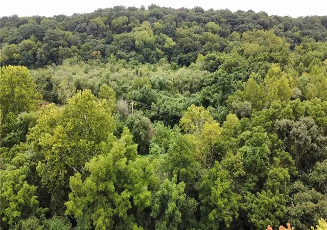 Photo 3 of Single family home for sale at 14255 Hwy Y Hwy, Excelsior Springs, MO 64024 | MLS# 2638192 | Listing updated on 2026-09-16