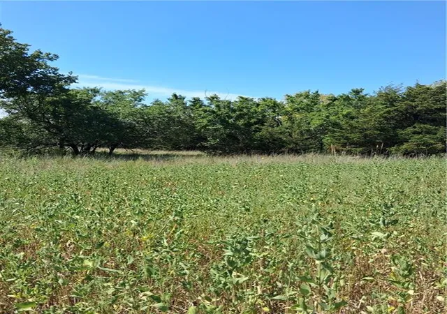 5th image of Hwy 75 Hwy, Altoona, KS 66710 | MLS# 2638467