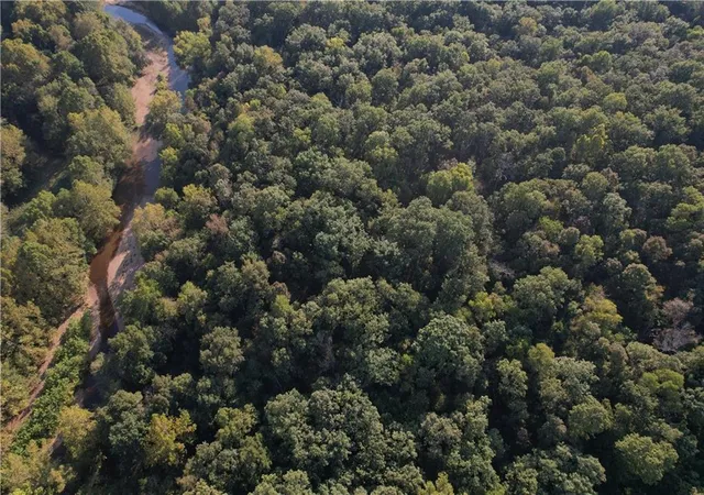 12th image of 0 Ritchie Ln, Edwards, MO 65326 | MLS# 2638721