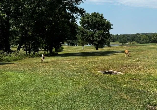 2nd image of 209 Fascination Ln, Linn Valley, KS 66040 | MLS# 2638756