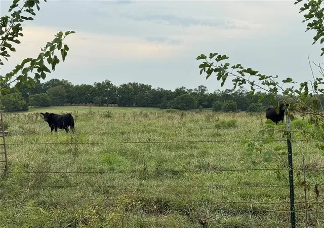 10th image of Lot 5 New Lancaster Rd, Paola, KS 66071 | MLS# 2638908