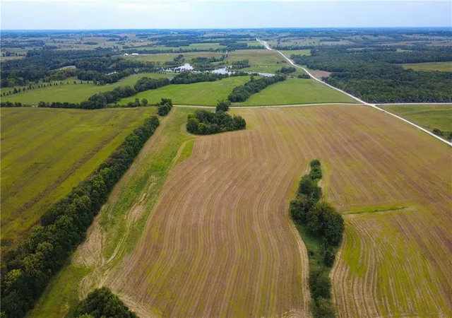 Photo 1 of Land for sale at 0000 315th And Nelson Rd, Drexel, MO 64742 | MLS# 2639205 | Listing updated on 2026-08-27